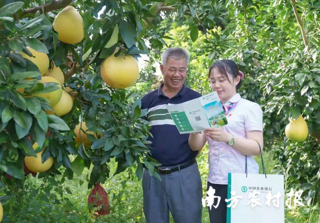 2025精准资料免费大全,详细解答、解释与落实